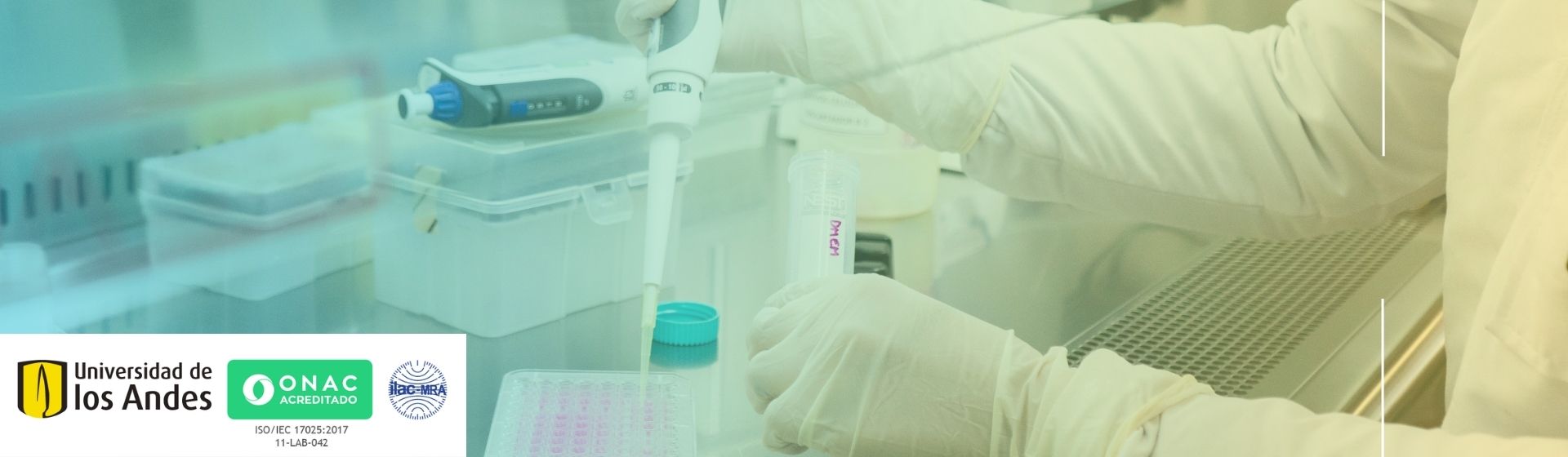 Investigación con impacto global
