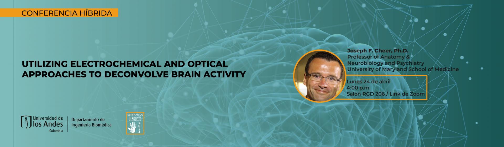 Seminario Brain Activity