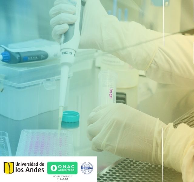 Investigación con impacto global