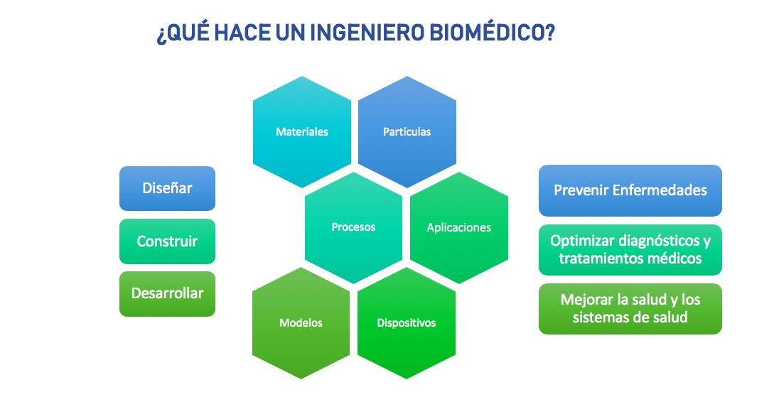 egresado pregrado