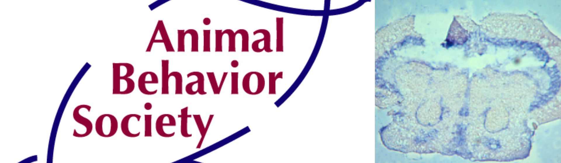 premio animal behavior society