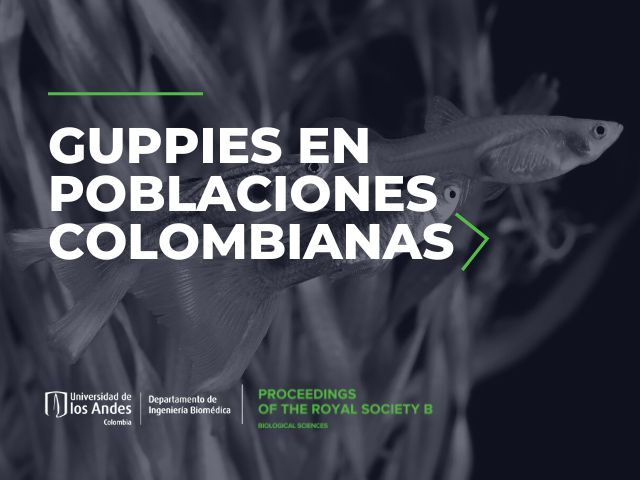  primer artículo acerca de guppys en poblaciones colombianas
