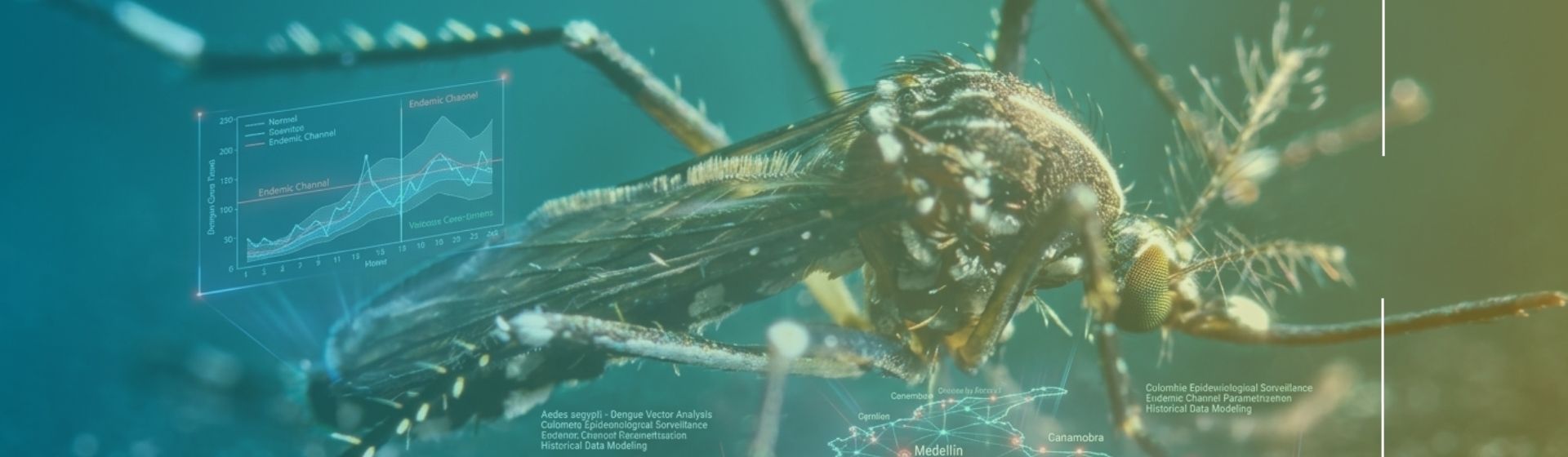 Investigadores de Uniandes evalúan el canal endémico, una de las herramientas oficiales para la vigilancia del dengue en Colombia 