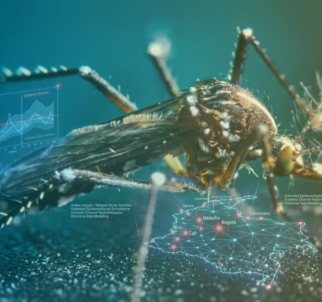 Investigadores de Uniandes evalúan el canal endémico, una de las herramientas oficiales para la vigilancia del dengue en Colombia 