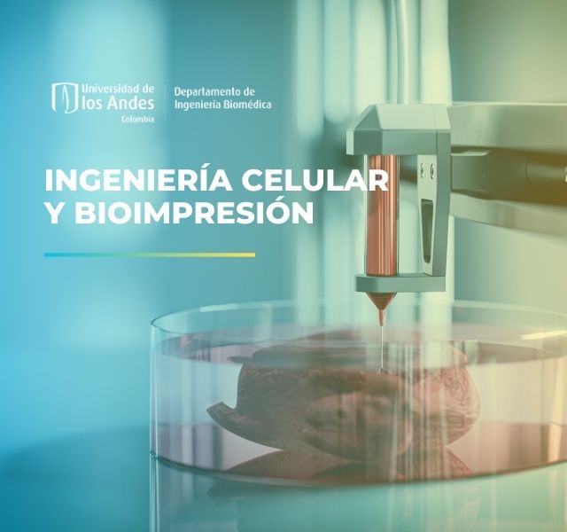 ingenieria celular y bioimpresion