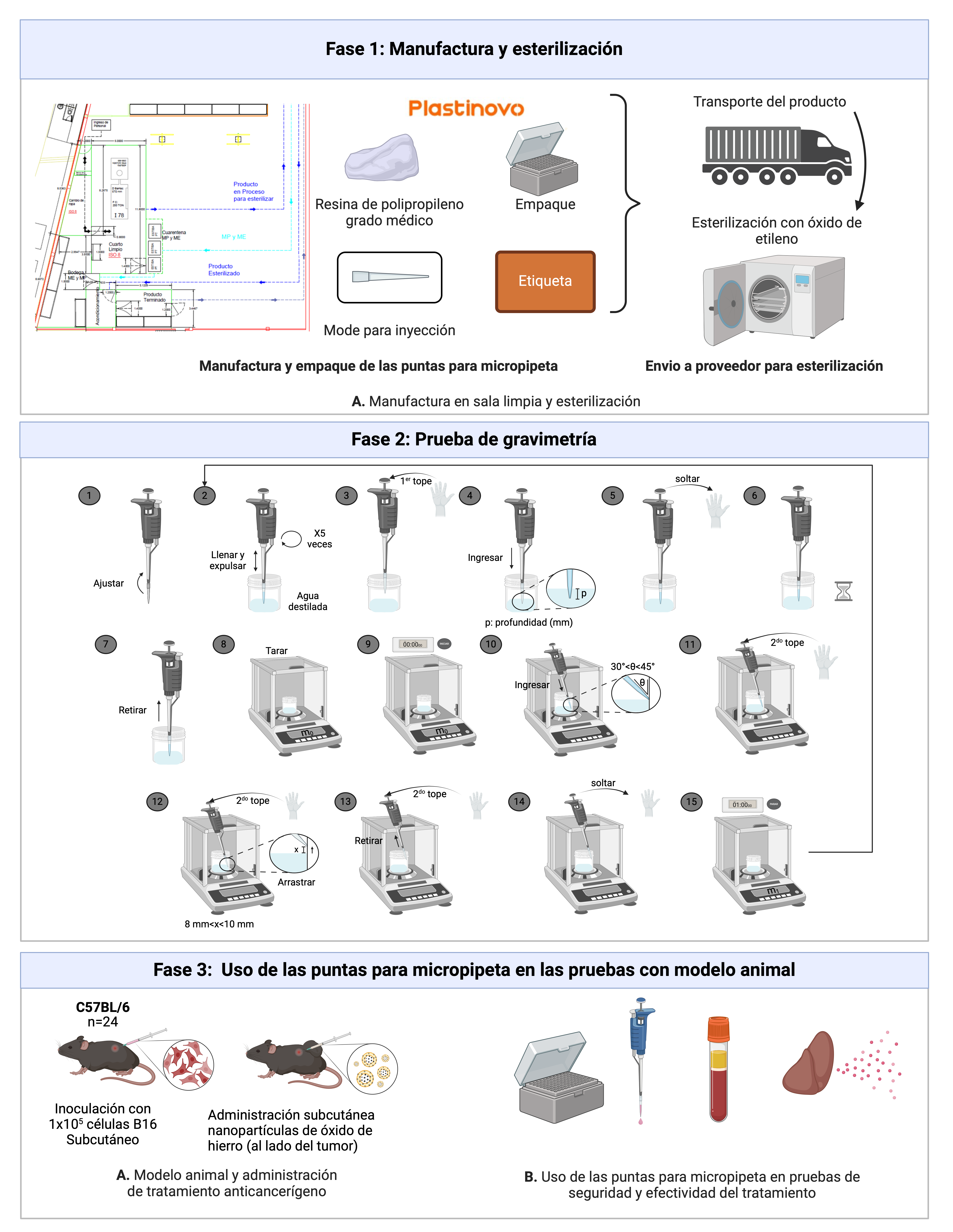 Figura 2