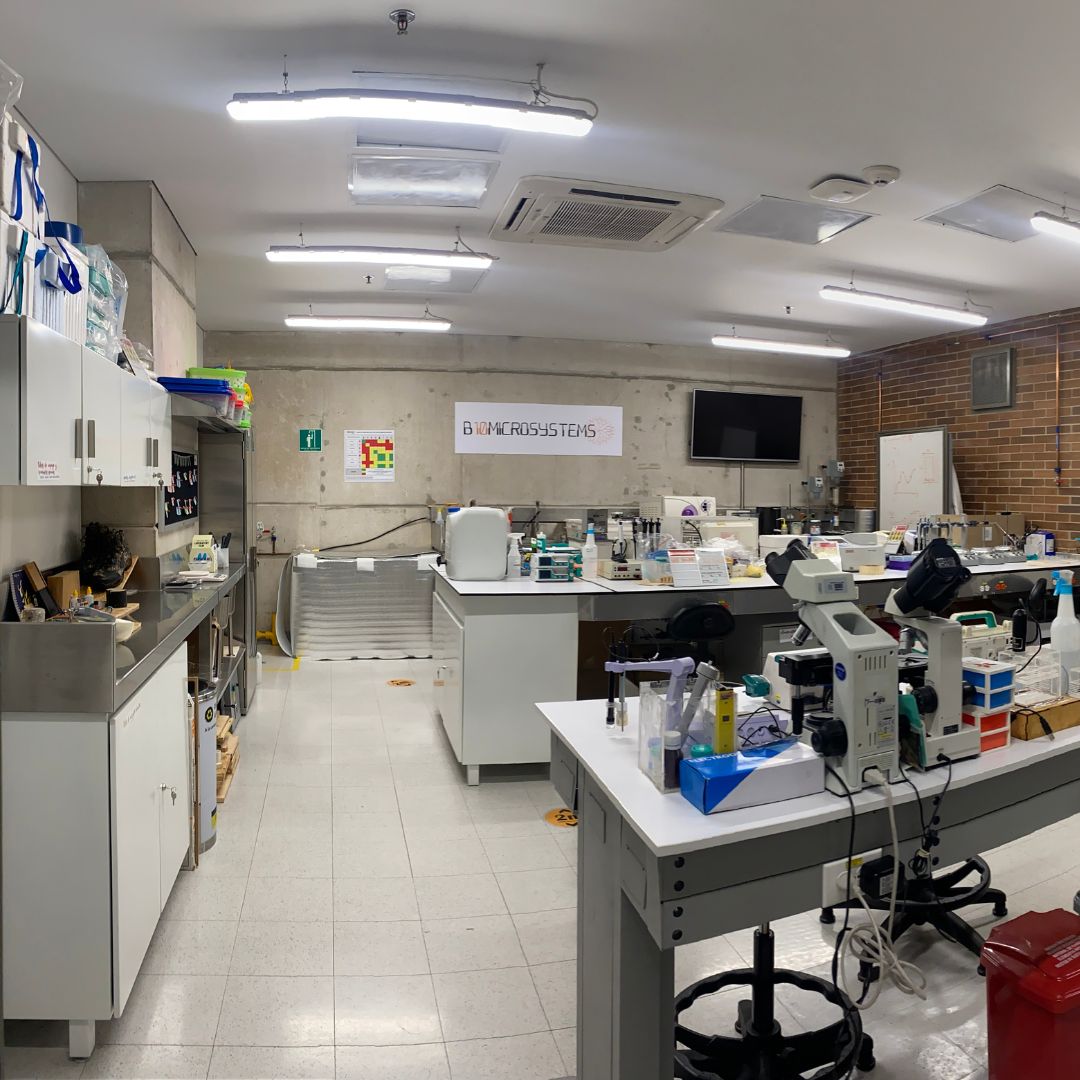 imagen de laboratorio
